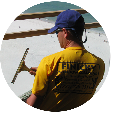 Finicky Window Cleaning Team